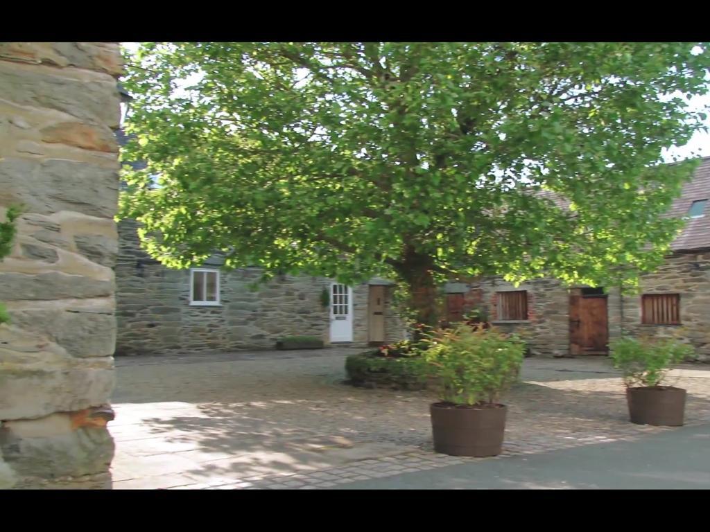 Bryn Melyn Farm Cottages بالا المظهر الخارجي الصورة